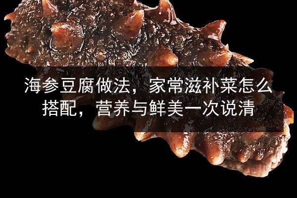 海参豆腐做法，家常滋补菜怎么搭配，营养与鲜美一次说清
