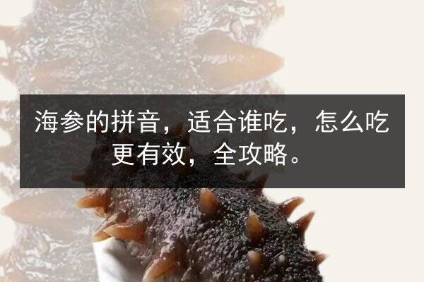 海参的拼音，适合谁吃，怎么吃更有效，全攻略。