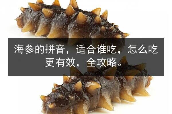 海参的拼音，适合谁吃，怎么吃更有效，全攻略。