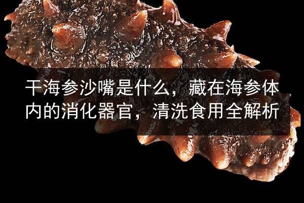 干海参沙嘴是什么,藏在海参体内的消化器官,清洗食用全解析