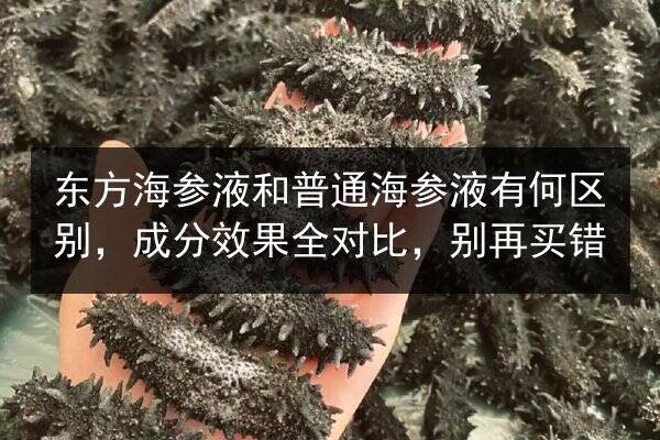 东方海参液和普通海参液有何区别，成分效果全对比，别再买错