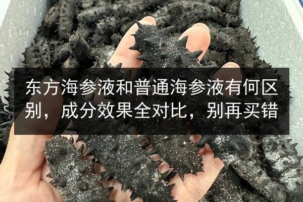 东方海参液和普通海参液有何区别，成分效果全对比，别再买错