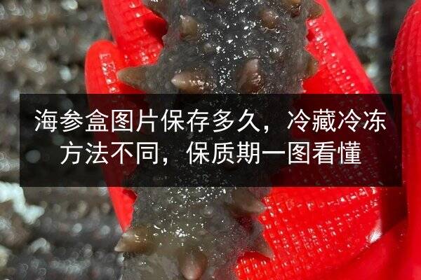 海参盒图片保存多久,冷藏冷冻方法不同,保质期一图看懂