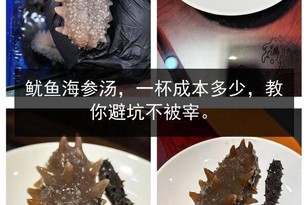 鱿鱼海参汤,一杯成本多少,教你避坑不被宰。