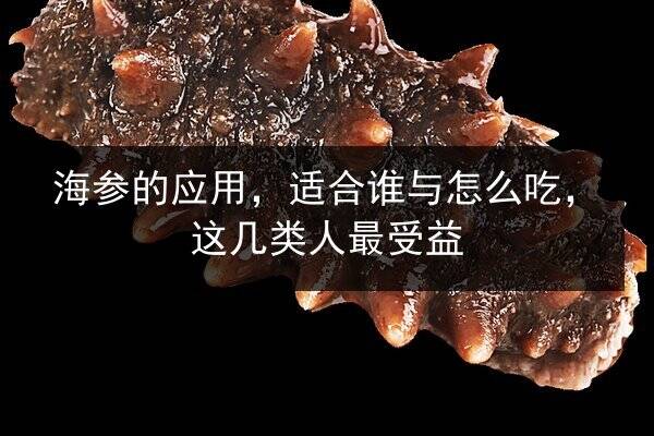 海参的应用，适合谁与怎么吃，这几类人最受益