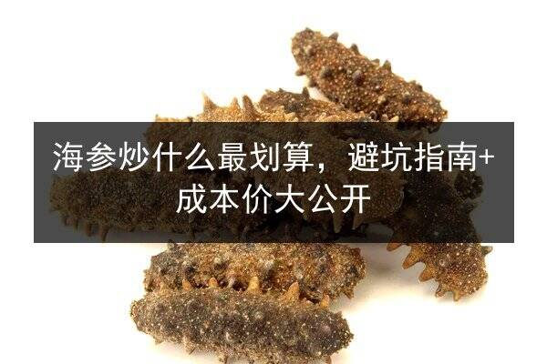 海参炒什么最划算，避坑指南+成本价大公开