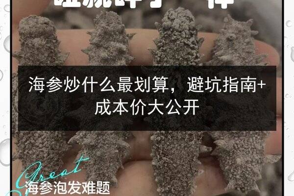 海参炒什么最划算，避坑指南+成本价大公开