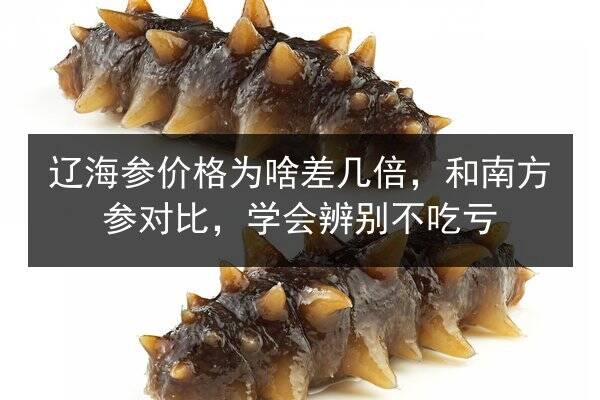 辽海参价格为啥差几倍,和南方参对比,学会辨别不吃亏