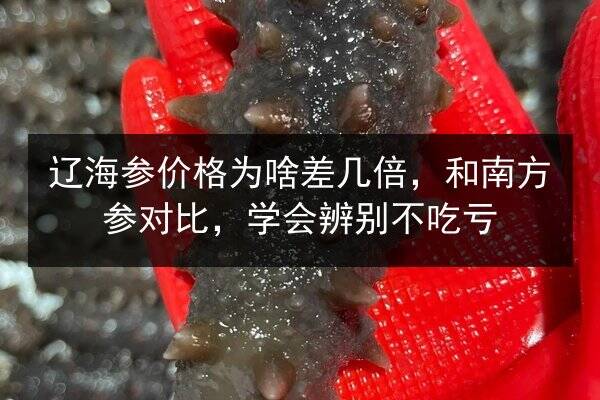 辽海参价格为啥差几倍,和南方参对比,学会辨别不吃亏