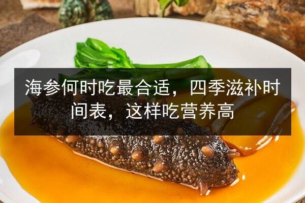 海参何时吃最合适,四季滋补时间表,这样吃营养高