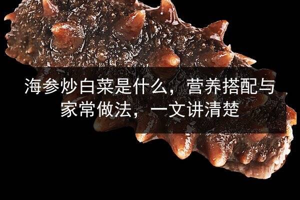 海参炒白菜是什么,营养搭配与家常做法,一文讲清楚