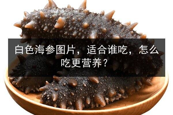 白色海参图片，适合谁吃，怎么吃更营养？