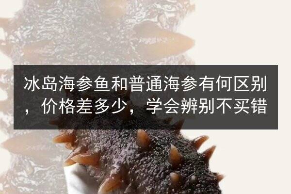 冰岛海参鱼和普通海参有何区别，价格差多少，学会辨别不买错