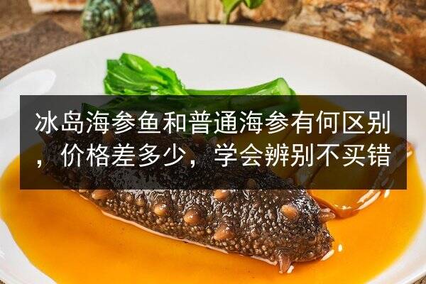 冰岛海参鱼和普通海参有何区别，价格差多少，学会辨别不买错
