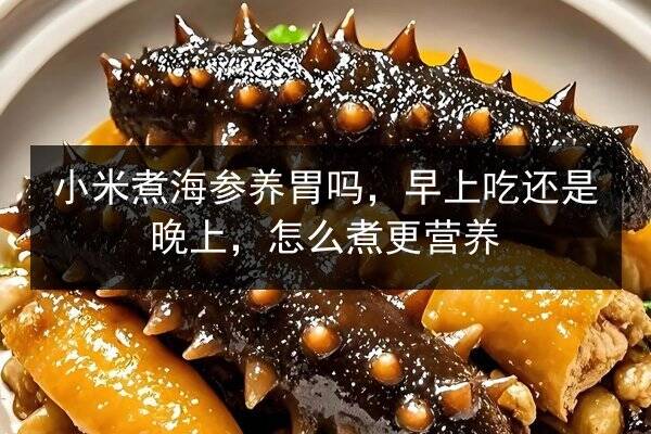 小米煮海参养胃吗,早上吃还是晚上,怎么煮更营养