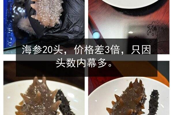 海参20头,价格差3倍,只因头数内幕多。