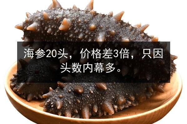 海参20头,价格差3倍,只因头数内幕多。