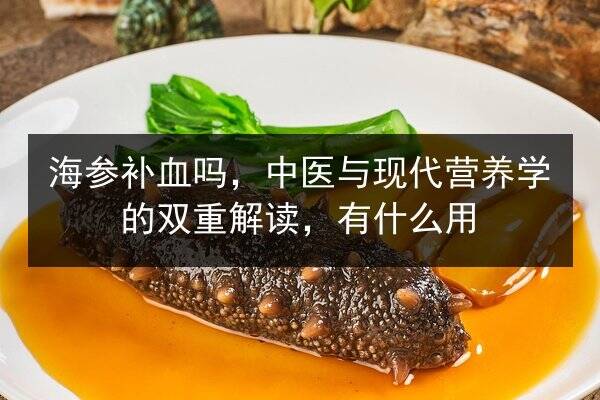 海参补血吗,中医与现代营养学的双重解读,有什么用