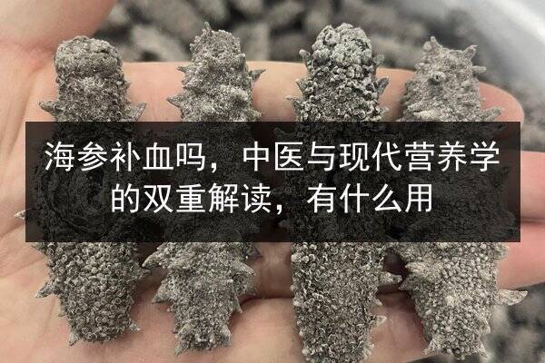 海参补血吗,中医与现代营养学的双重解读,有什么用
