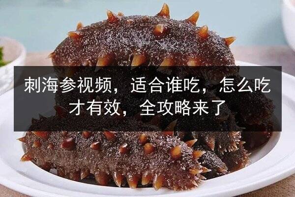 刺海参视频,适合谁吃,怎么吃才有效,全攻略来了