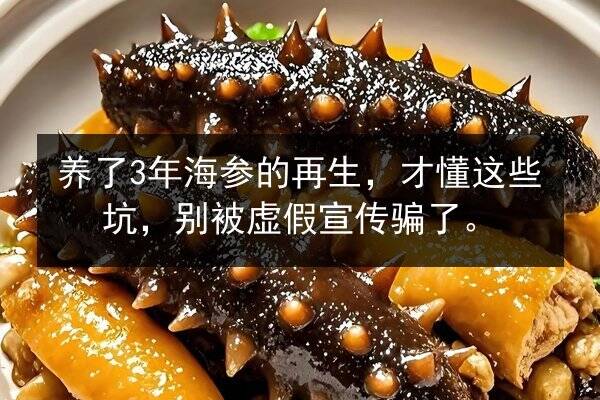 养了3年海参的再生,才懂这些坑,别被虚假宣传骗了。