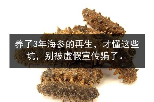 养了3年海参的再生,才懂这些坑,别被虚假宣传骗了。