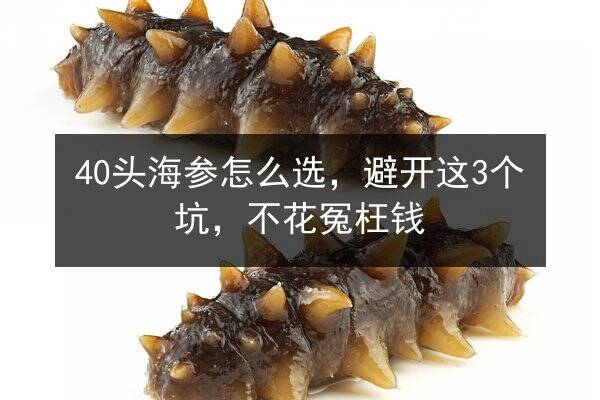 40头海参怎么选,避开这3个坑,不花冤枉钱