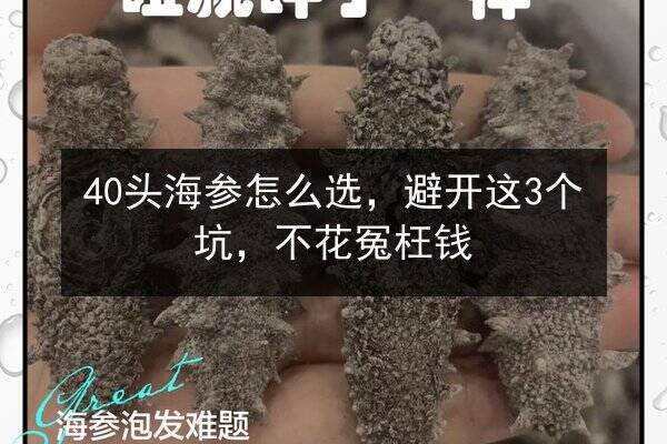 40头海参怎么选,避开这3个坑,不花冤枉钱