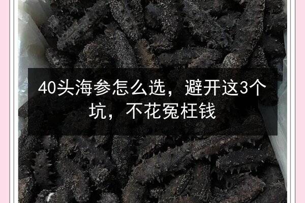 40头海参怎么选,避开这3个坑,不花冤枉钱