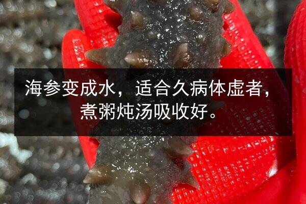 海参变成水,适合久病体虚者,煮粥炖汤吸收好。