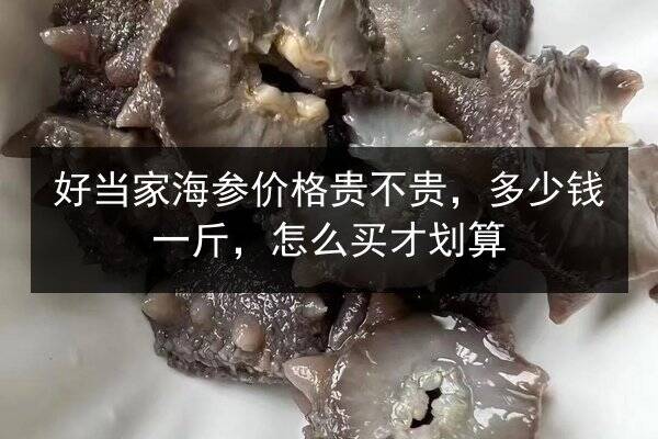 好当家海参价格贵不贵,多少钱一斤,怎么买才划算