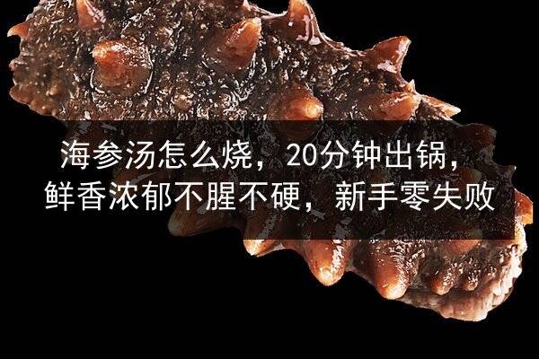 海参汤怎么烧，20分钟出锅，鲜香浓郁不腥不硬，新手零失败