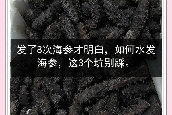 发了8次海参才明白,如何水发海参,这3个坑别踩。