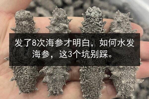 发了8次海参才明白,如何水发海参,这3个坑别踩。