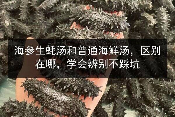 海参生蚝汤和普通海鲜汤，区别在哪，学会辨别不踩坑