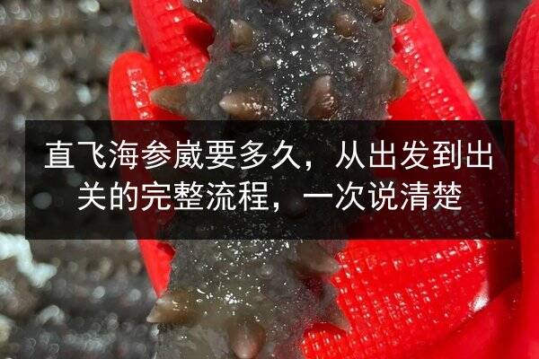 直飞海参崴要多久,从出发到出关的完整流程,一次说清楚