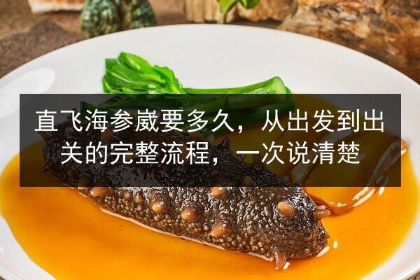 直飞海参崴要多久,从出发到出关的完整流程,一次说清楚