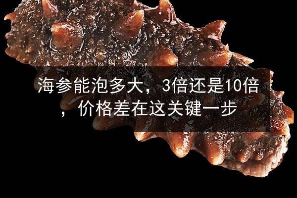 海参能泡多大，3倍还是10倍，价格差在这关键一步