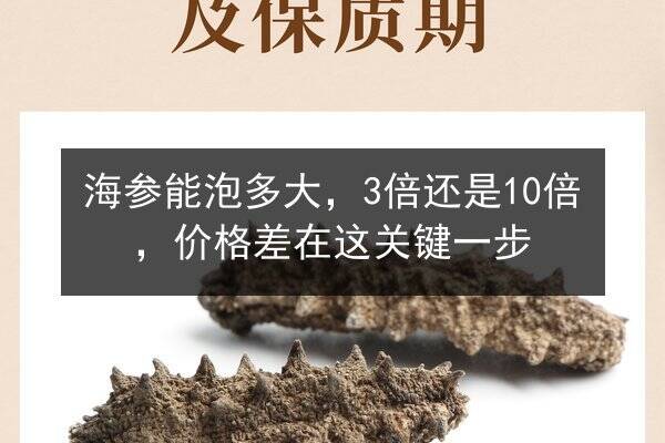 海参能泡多大，3倍还是10倍，价格差在这关键一步