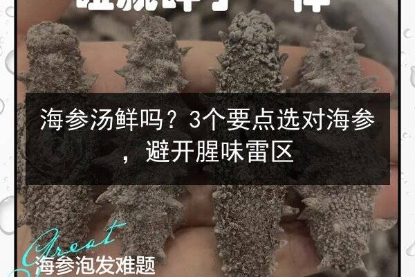 海参汤鲜吗?3个要点选对海参,避开腥味雷区