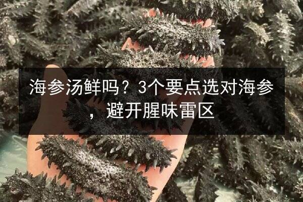 海参汤鲜吗?3个要点选对海参,避开腥味雷区