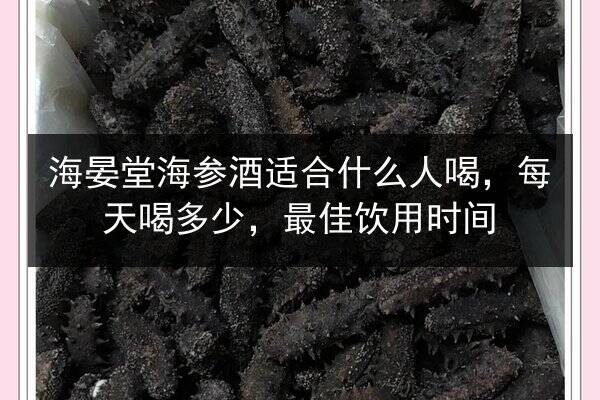 海晏堂海参酒适合什么人喝,每天喝多少,最佳饮用时间