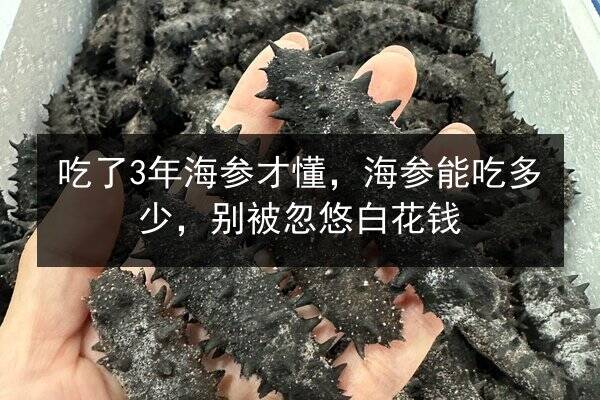 吃了3年海参才懂，海参能吃多少，别被忽悠白花钱