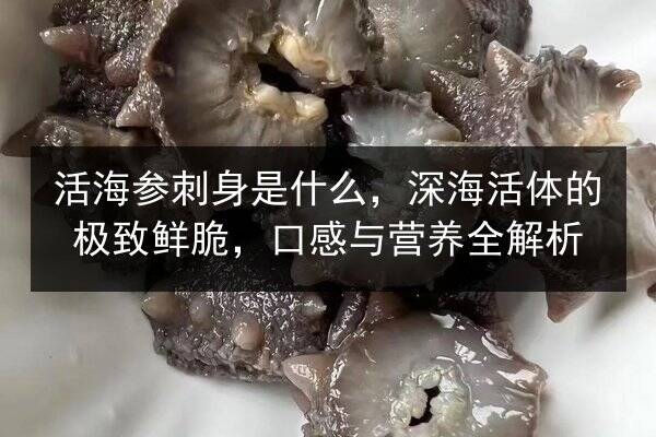 活海参刺身是什么,深海活体的极致鲜脆,口感与营养全解析