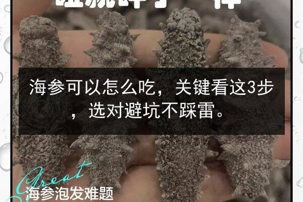 海参可以怎么吃,关键看这3步,选对避坑不踩雷。