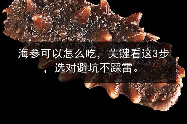 海参可以怎么吃,关键看这3步,选对避坑不踩雷。
