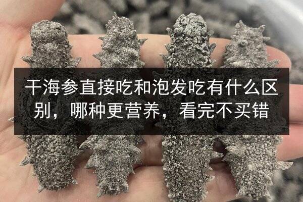 干海参直接吃和泡发吃有什么区别,哪种更营养,看完不买错