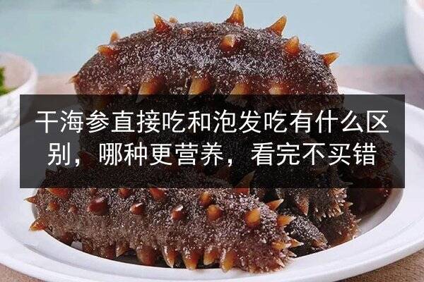 干海参直接吃和泡发吃有什么区别,哪种更营养,看完不买错