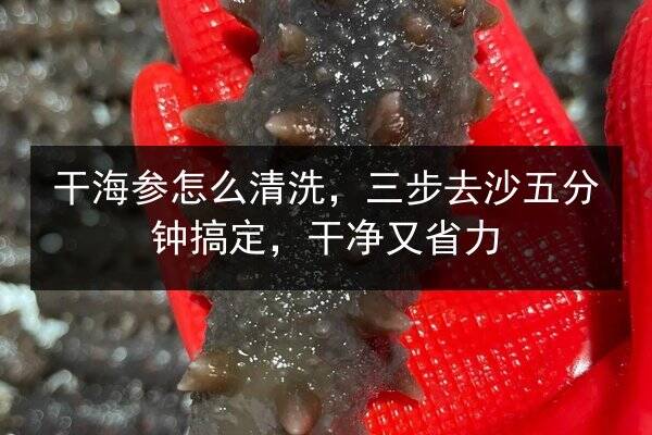 干海参怎么清洗,三步去沙五分钟搞定,干净又省力