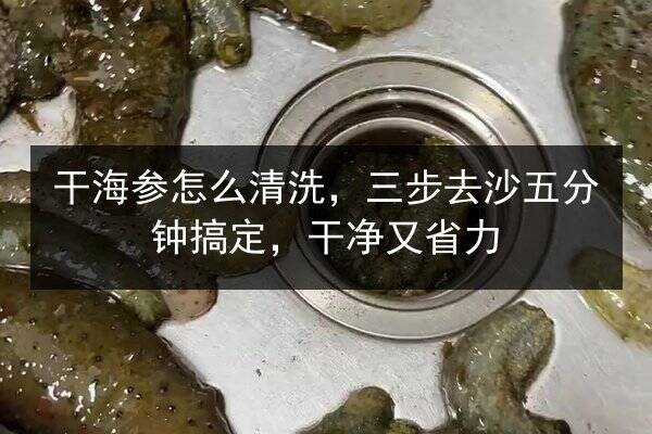 干海参怎么清洗,三步去沙五分钟搞定,干净又省力